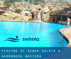 Piscine Di Acqua salata a Ahornberg (Baviera)