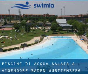 Piscine Di Acqua salata a Aigendorf (Baden-Württemberg)