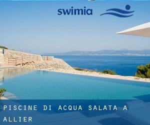 Piscine Di Acqua salata a Allier