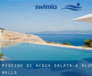 Piscine Di Acqua salata a Alum Wells