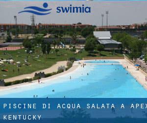 Piscine Di Acqua salata a Apex (Kentucky)