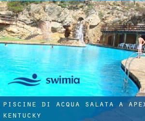 Piscine Di Acqua salata a Apex (Kentucky)