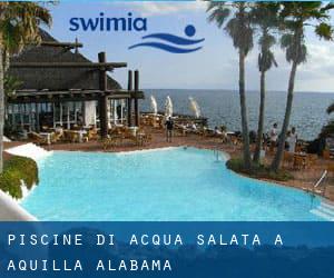 Piscine Di Acqua salata a Aquilla (Alabama)