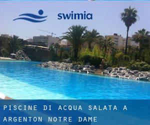 Piscine Di Acqua salata a Argenton-Notre-Dame