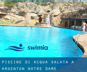 Piscine Di Acqua salata a Argenton-Notre-Dame