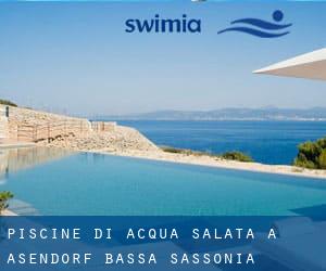 Piscine Di Acqua salata a Asendorf (Bassa Sassonia)