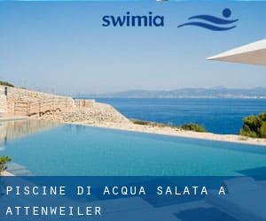 Piscine Di Acqua salata a Attenweiler