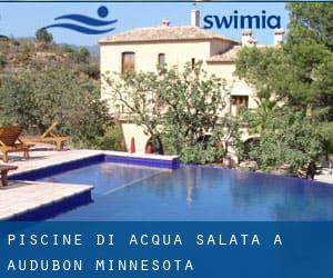 Piscine Di Acqua salata a Audubon (Minnesota)