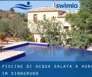 Piscine Di Acqua salata a Aura im Sinngrund