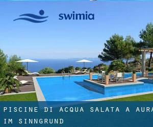 Piscine Di Acqua salata a Aura im Sinngrund