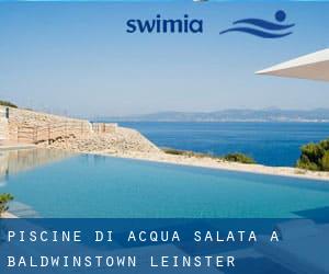 Piscine Di Acqua salata a Baldwinstown (Leinster)