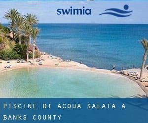 Piscine Di Acqua salata a Banks County