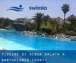 Piscine Di Acqua salata a Bartholomew County