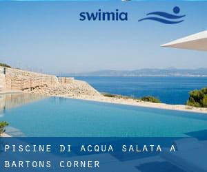 Piscine Di Acqua salata a Bartons Corner