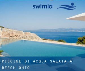 Piscine Di Acqua salata a Beech (Ohio)