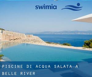 Piscine Di Acqua salata a Belle River