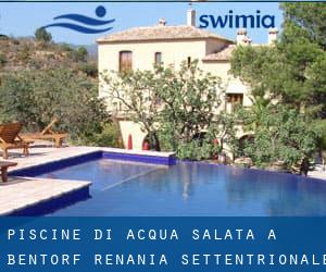 Piscine Di Acqua salata a Bentorf (Renania Settentrionale-Vestfalia)