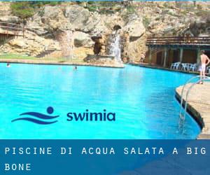 Piscine Di Acqua salata a Big Bone