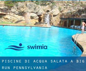 Piscine Di Acqua salata a Big Run (Pennsylvania)