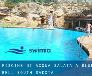 Piscine Di Acqua salata a Blue Bell (South Dakota)