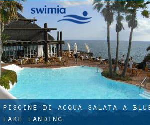 Piscine Di Acqua salata a Blue Lake Landing