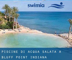 Piscine Di Acqua salata a Bluff Point (Indiana)