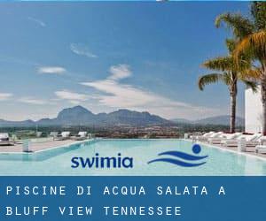 Piscine Di Acqua salata a Bluff View (Tennessee)