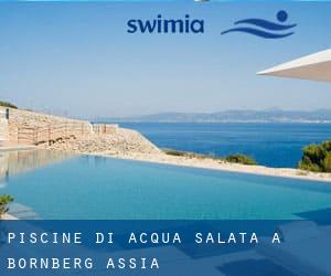 Piscine Di Acqua salata a Börnberg (Assia)