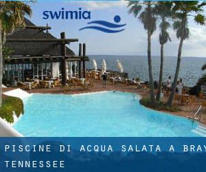 Piscine Di Acqua salata a Bray (Tennessee)