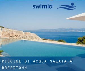 Piscine Di Acqua salata a Breedtown