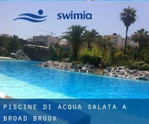 Piscine Di Acqua salata a Broad Brook