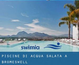 Piscine Di Acqua salata a Bromeswell