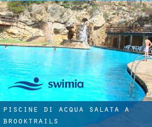 Piscine Di Acqua salata a Brooktrails