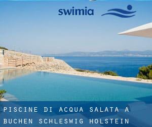 Piscine Di Acqua salata a Büchen (Schleswig-Holstein)