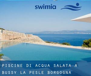 Piscine Di Acqua salata a Bussy-la-Pesle (Borgogna)