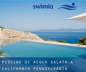 Piscine Di Acqua salata a California (Pennsylvania)