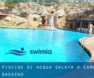 Piscine Di Acqua salata a Camp Brosend