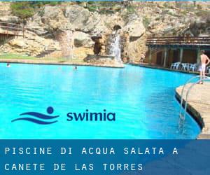 Piscine Di Acqua salata a Cañete de las Torres