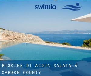 Piscine Di Acqua salata a Carbon County