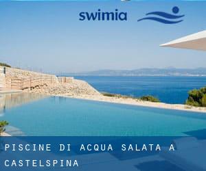 Piscine Di Acqua salata a Castelspina