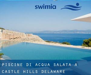 Piscine Di Acqua salata a Castle Hills (Delaware)