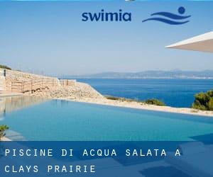 Piscine Di Acqua salata a Clays Prairie