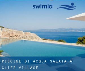 Piscine Di Acqua salata a Cliff Village