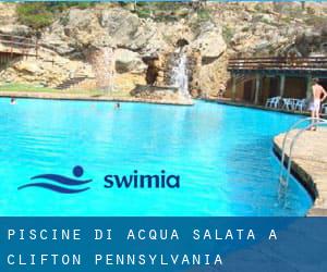 Piscine Di Acqua salata a Clifton (Pennsylvania)