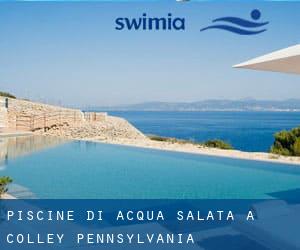 Piscine Di Acqua salata a Colley (Pennsylvania)