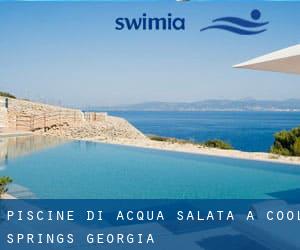 Piscine Di Acqua salata a Cool Springs (Georgia)