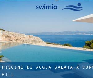 Piscine Di Acqua salata a Corn Hill