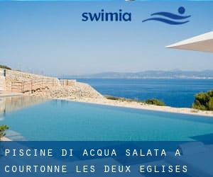 Piscine Di Acqua salata a Courtonne-les-Deux-Églises