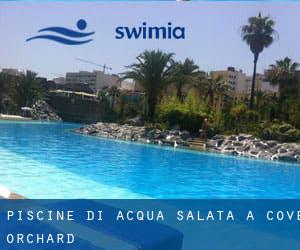 Piscine Di Acqua salata a Cove Orchard