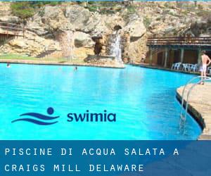 Piscine Di Acqua salata a Craigs Mill (Delaware)